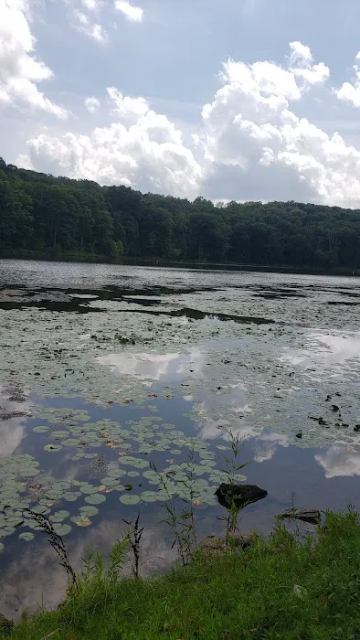 Leesville North Fork Marina & Campground 3