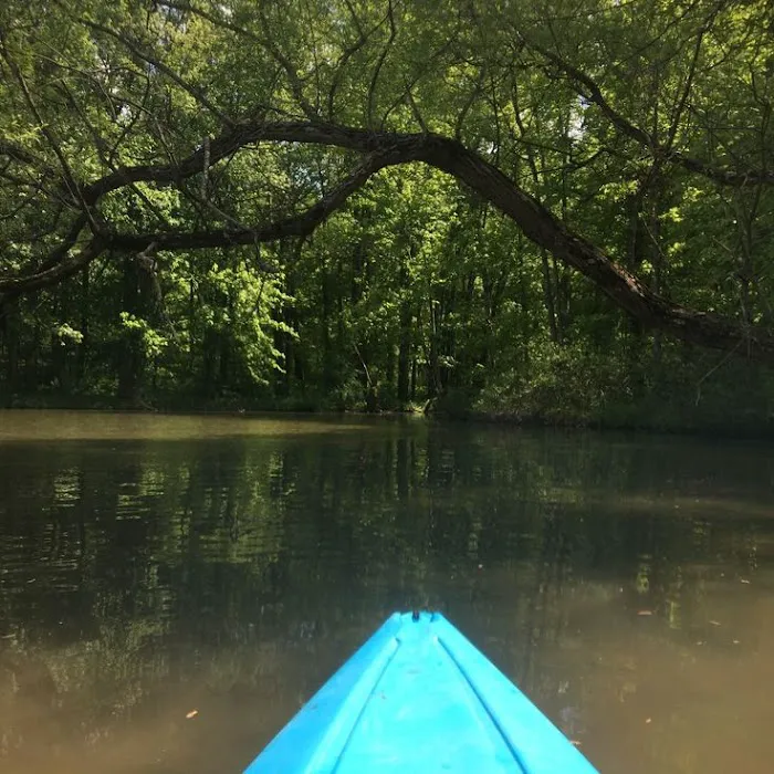 Leesville North Fork Marina & Campground 5