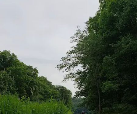 Petersburg Marina & Campgrounds