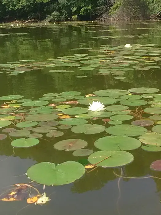 Clendening Lake Marina and Campground 4