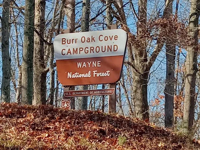 Burr Oak Cove Campground 7