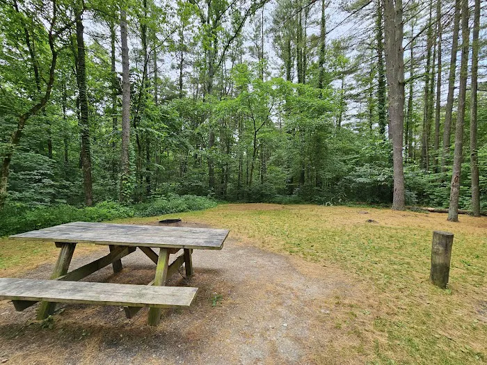 Burr Oak Cove Campground 3