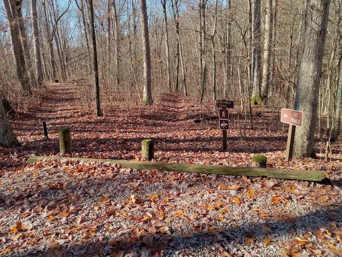 Burr Oak Cove Campground 9