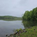 Equestrian Camp