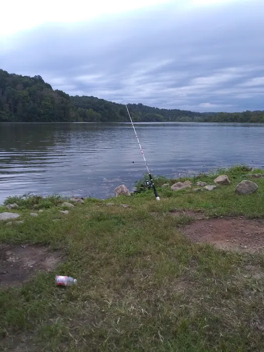 Dock Area #3 3