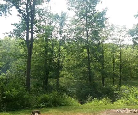 Campsite C - Sand Hollow