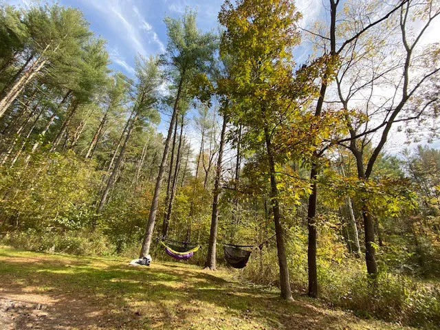 Campsite C - Sand Hollow 3