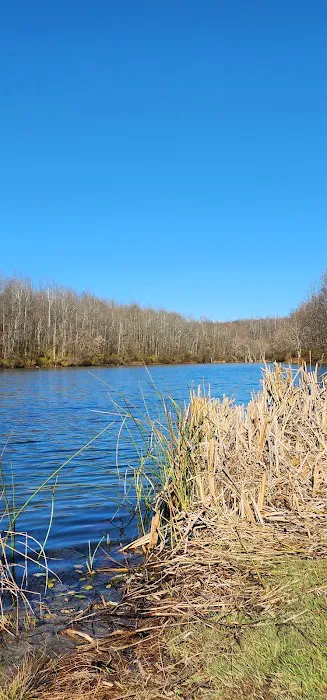 AEP Recreation Land Campground C 6
