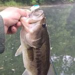 AEP Recreation Land Campground C