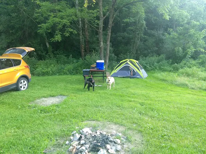 Sawmill Road Campground D - Jesse Owens State Park 5