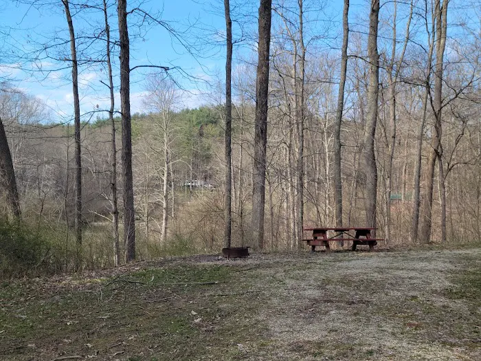 Jesse Owens State Park - Hook Lake Campground 6