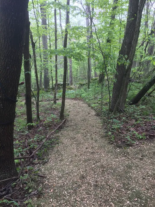 Camp Avery 4