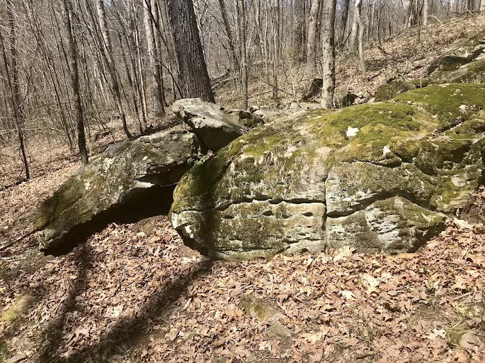 Camp Avery 1