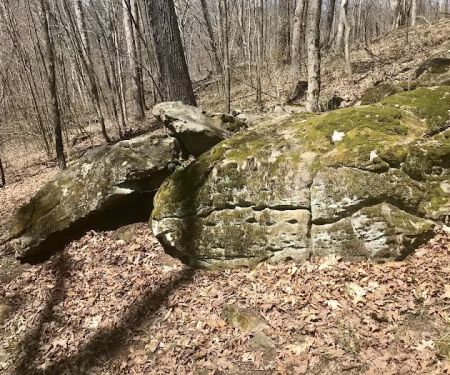 Camp Avery