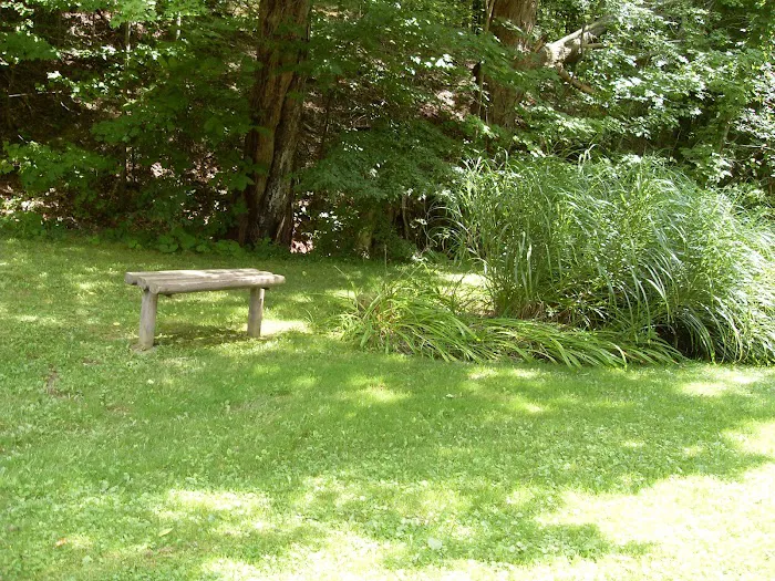 Maple Del Manor 4