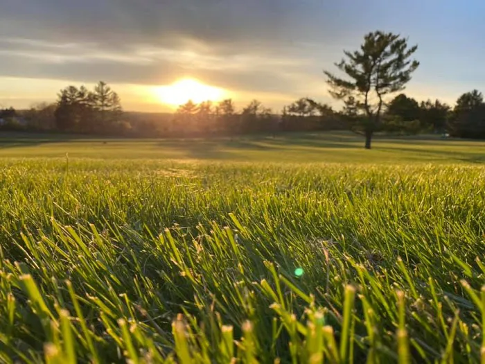 Highland Acres RV Resort 7