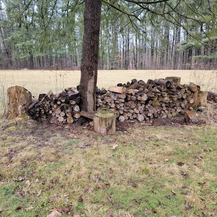 BSA Camp Rodman 8