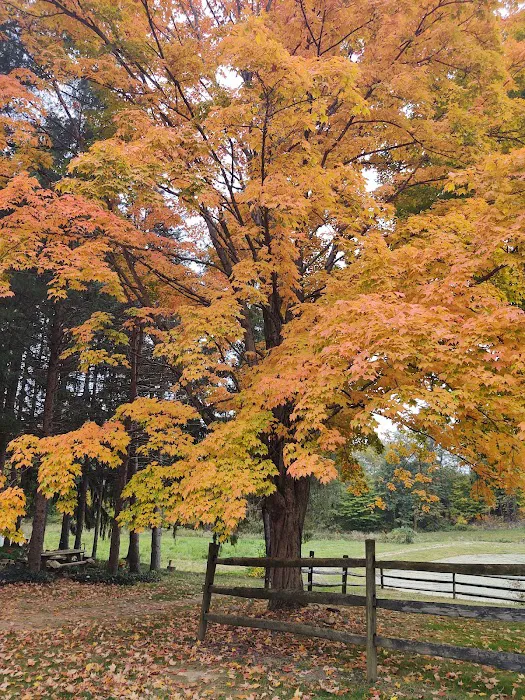 Whispering Pines Campground 10