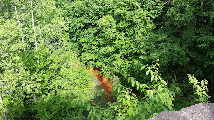 Nelson Ledge Estates 6