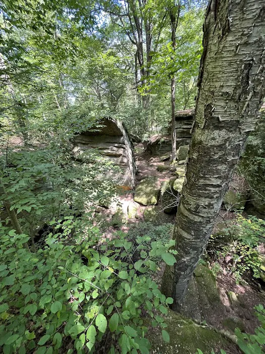 Nelson Ledge Estates 9