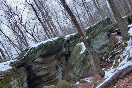 Nelson Ledge Estates