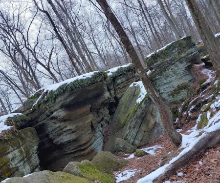 Nelson Ledge Estates