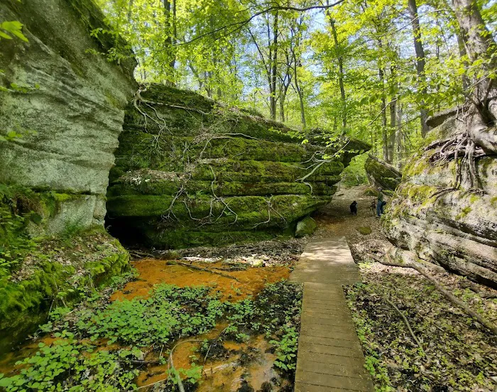 Nelson Ledges Quarry Park 8