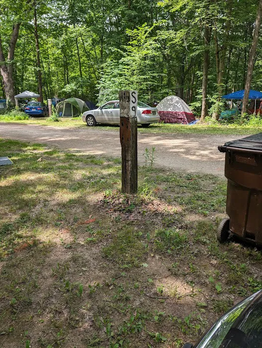 Nelson Ledges Quarry Park 4