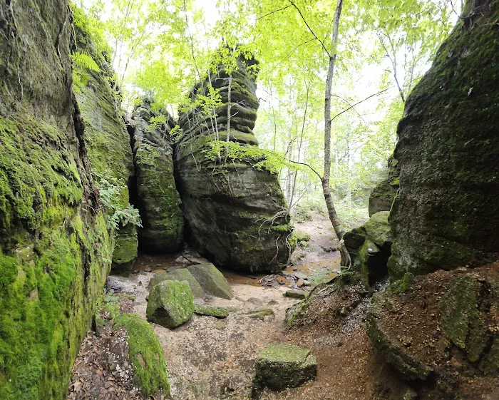 Nelson Ledges Quarry Park 5