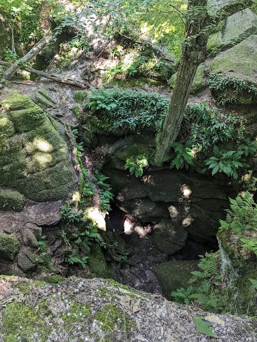 Nelson Ledges Quarry Park 3
