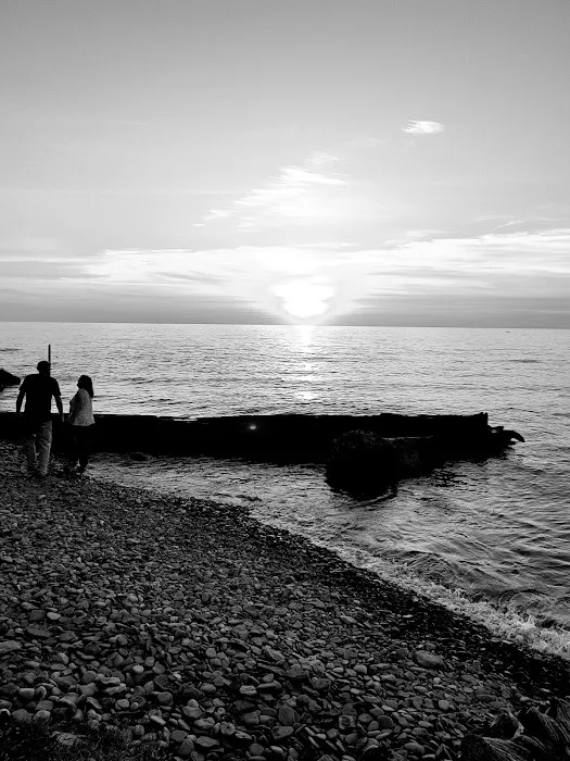 Driftwood Mobile Home 1