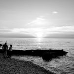 Driftwood Mobile Home