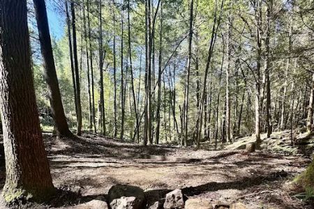 Rustling Pines Campground