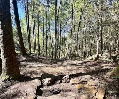 Rustling Pines Campground