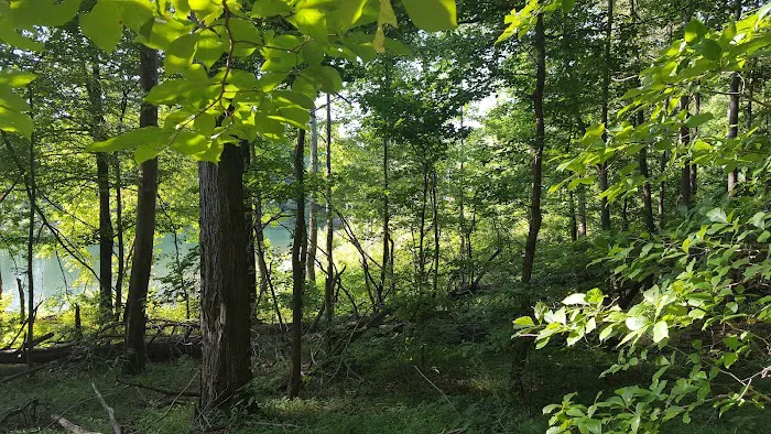 Twin Knobs Campground 2