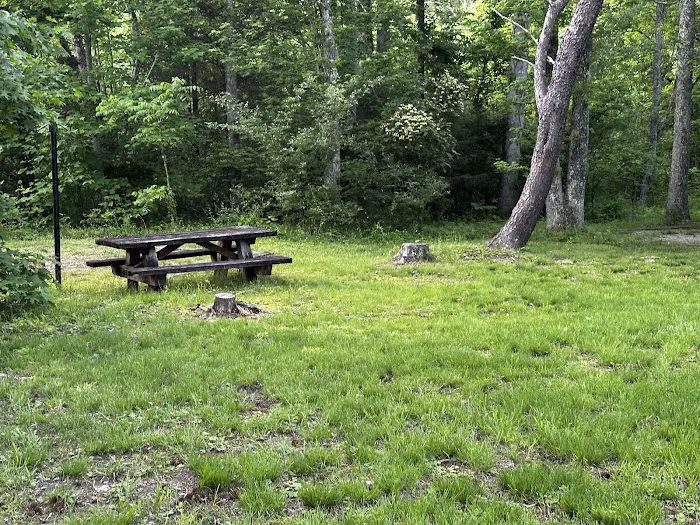 Twin Knobs Campground 7