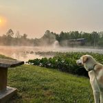 Sheltowee RV Park & Cabins