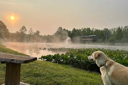 Sheltowee RV Park & Cabins