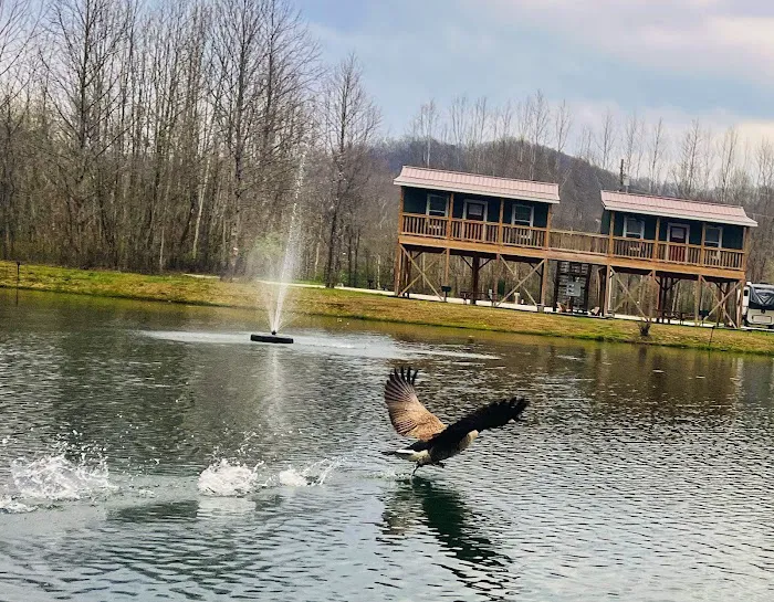 Sheltowee RV Park & Cabins 3