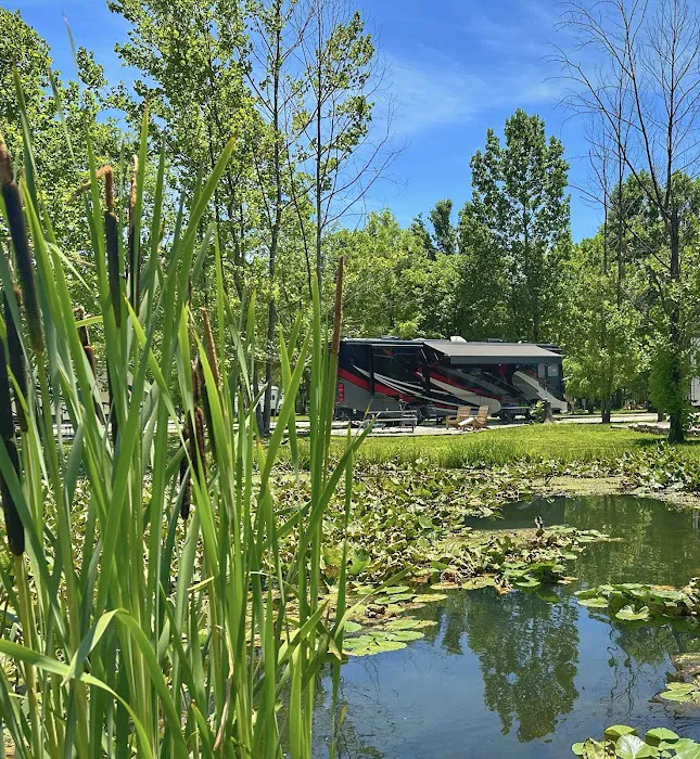 Sheltowee RV Park & Cabins 5