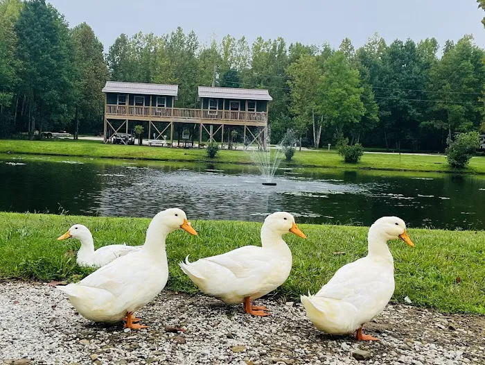 Sheltowee RV Park & Cabins 7