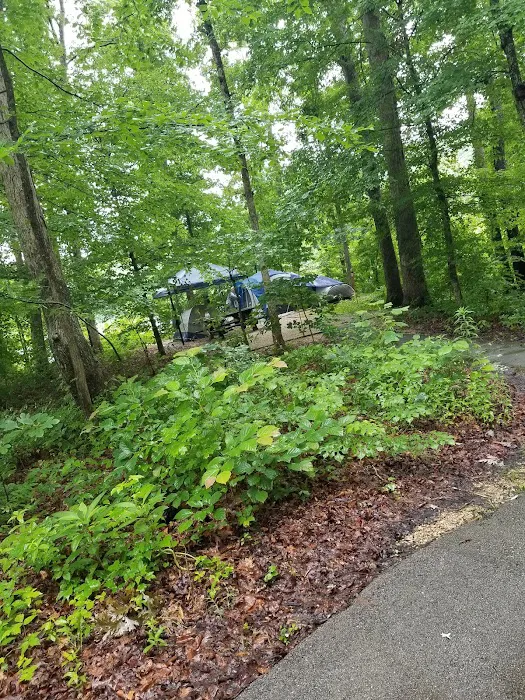 Boat Gunnel Group Campground 8