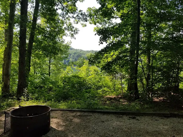Boat Gunnel Group Campground 7