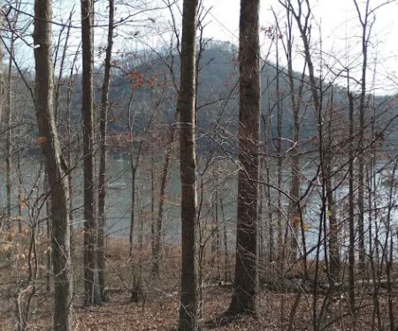 Boat Gunnel Group Campground
