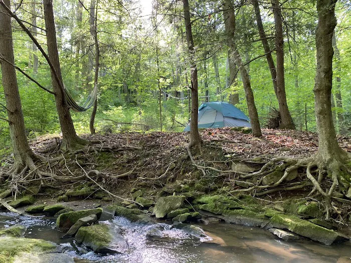 Camping at Shasta Valley 3