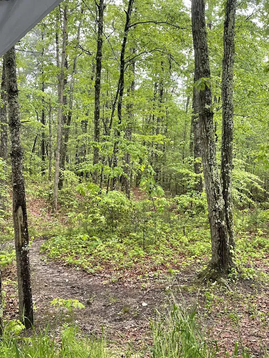 Koomer Ridge Campground 6