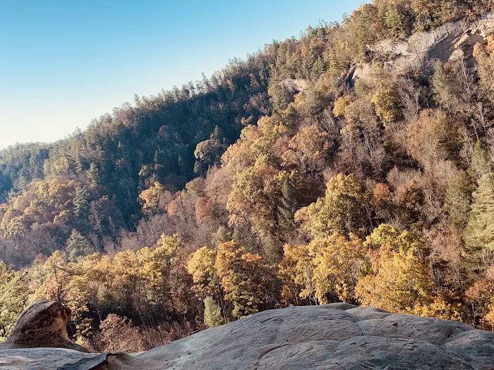 Koomer Ridge Campground 5