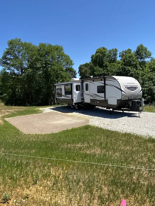 Firefly Hills 5