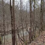 RSouthern Sunrise KY