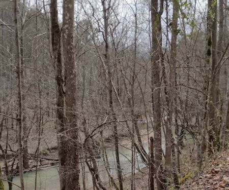 RSouthern Sunrise KY